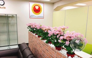 Hiệp hội doanh nghiệp Việt Nam tại Nhật Bản