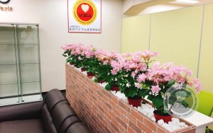 Điều khoản thanh toán