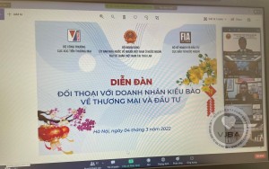 VJBA THAM DỰ DIỄN ĐÀN ĐỐI THOẠI VỚI DOANH NHÂN KIỀU BÀO VỀ ĐẦU TƯ VÀ THƯƠNG MẠI